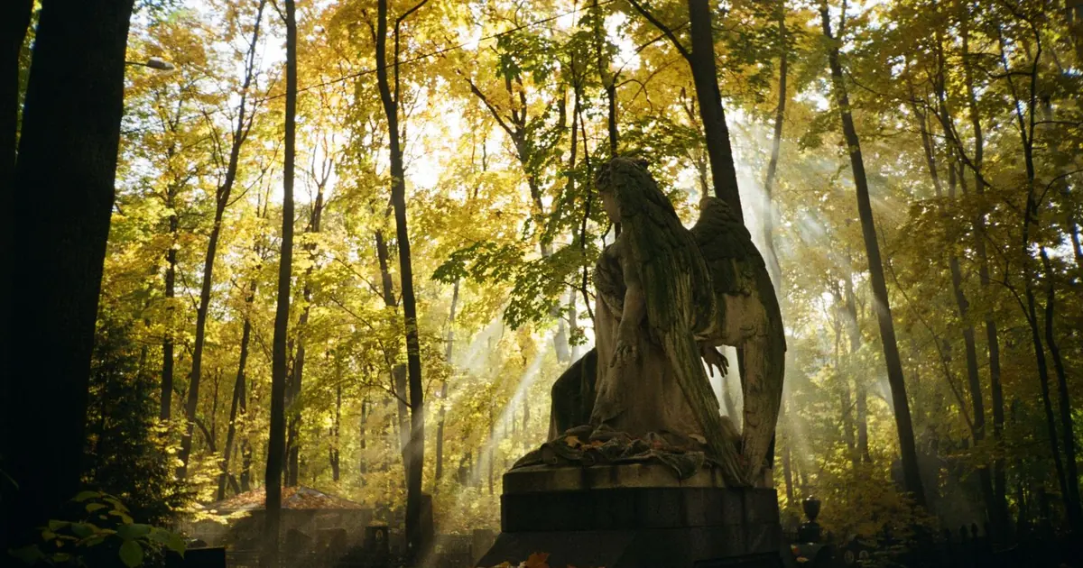 A funerary angel statue in a wooded cemetery in autumn light — funeral services in Cluj-Napoca, a guide for families