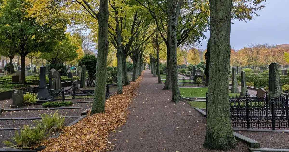 A quiet tree-lined cemetery path in autumn — exhumation and reburial in Romania: documents, deadlines and costs